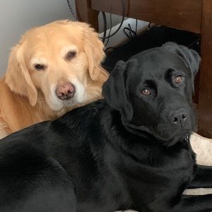 Meet your Posher, Scott